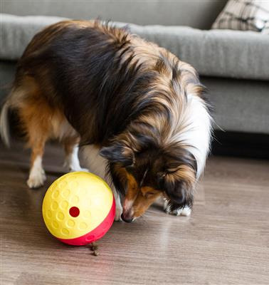 Piłka na smaczki Nina Ottosson Dog Treat Tumble L 13cm