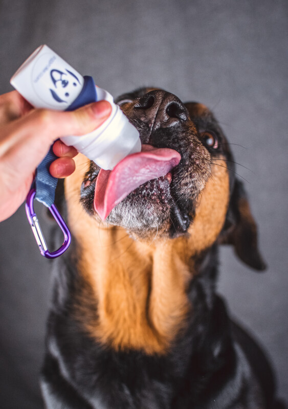 Doggyroller różowy bez karabińczyka Doggyroller różowy bez karabińczyka