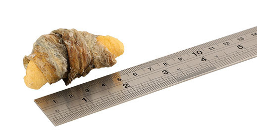 Fish4Dogs - Apple Fish Wraps 90g - Przysmaki jabłko owinięte skórą ryby Fish4Dogs - Apple Fish Wraps 90g - Przysmaki jabłko owinięte skórą ryby