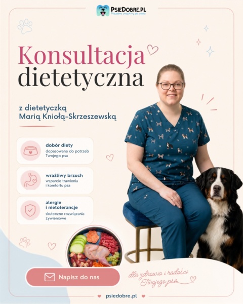 Konsultacja dietetyczna dla psa – indywidualny plan żywieniowy dopasowany do zdrowia Twojego psa