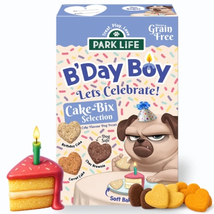 Park Life Cake-Bix B’Day Boy Cake Selection – urodzinowe ciastka dla psa, wege 240 g