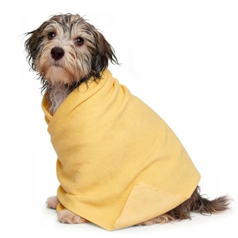 Record Dry Dog Towel 66x43cm Yellow - ręcznik chłodzący dla psa i kota - żółty