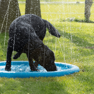 CoolPets SPLASH Basen dla psów ze spryskiwaczami