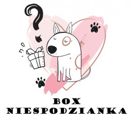 MYSTERY BOX dla psa - box prezentowy L