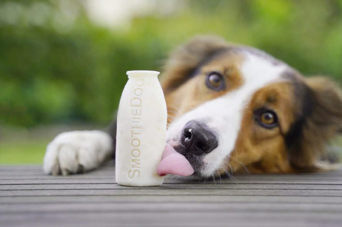 SmoothieDog foremka na lody dla psa