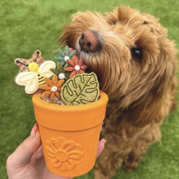 SodaPup Flower Pot Orange - doniczka na jedzenie dla psa