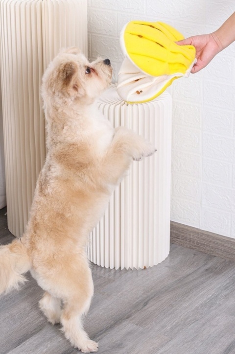 DOGLEMI Zabawka węchowa dla psa MUSZLA