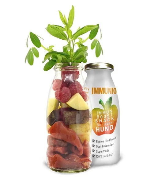 SmoothieDog IMMUNIO boost snack