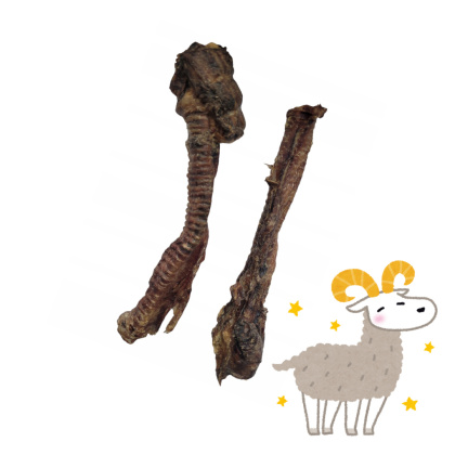Balto - Tchawica barania - gryzak dla psów - 100g