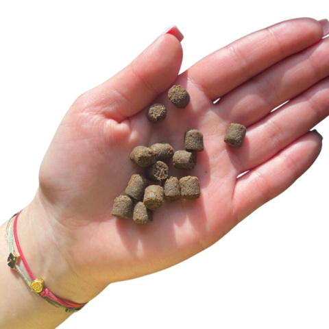 Farma – karma dla szczeniąt tłoczona na zimno – królik – 2 kg Farma – karma dla szczeniąt tłoczona na zimno – królik – 2 kg