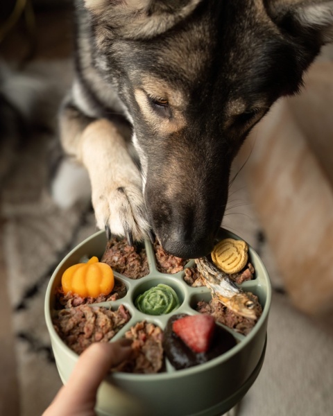 Lambwolf 3w1 miska i mata do lizania dla psa - Bento, różowa,