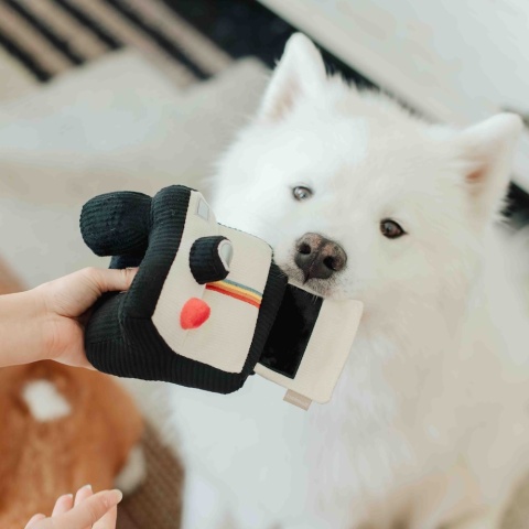 Lambwolf – zabawka węchowa dla psa „Aparat Polaroid”