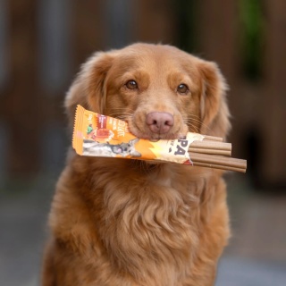 SOOPA Pumpkin Spiced Latte Dental Sticks- wegetarianskie przysmaki dentystyczne dla psa - Pumpkin Spiced Latte