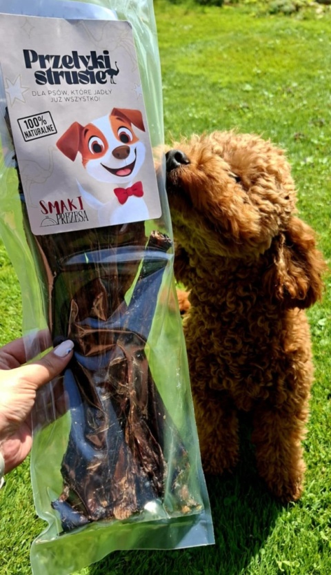 Smaki Prezesa - Przełyki Strusie - gryzak dla psa - 30cm Smaki Prezesa - Przełyki Strusie - gryzak dla psa - 30cm