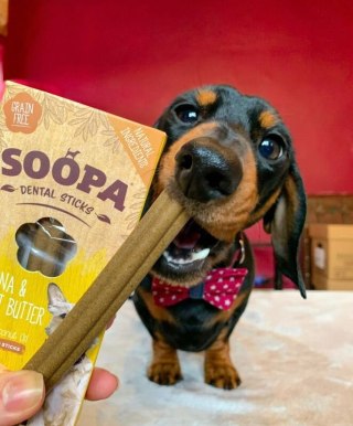Soopa Banana & Peanut Butter Dental Sticks - wege gryzaki dentystyczne dla psa - BANAN i MASŁO ORZECHOWE 100 g