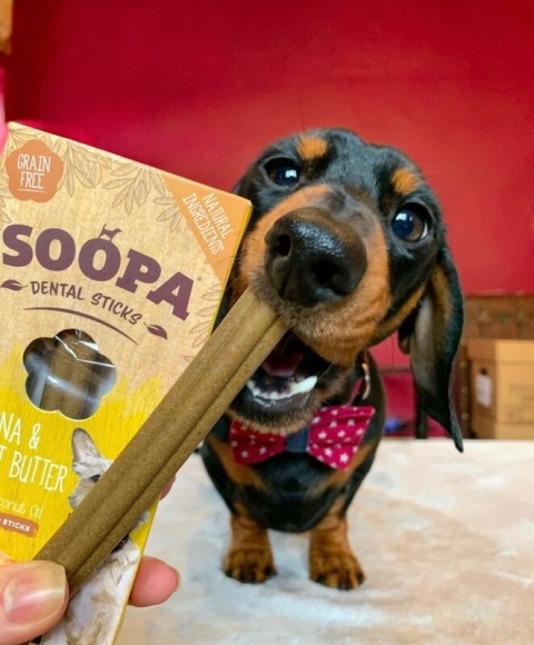 Soopa Banana & Peanut Butter Dental Sticks - wege gryzaki dentystyczne dla psa - BANAN i MASŁO ORZECHOWE 100 g Soopa Banana & Peanut Butter Dental Sticks - wege gryzaki dentystyczne dla psa - BANAN i MASŁO ORZECHOWE 100 g