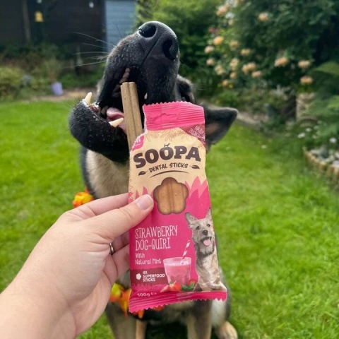 Soopa Strawberry Dog-Quiri Dental Sticks – wege gryzak dentystyczny dla psa (100 g) Soopa Strawberry Dog-Quiri Dental Sticks – wege gryzak dentystyczny dla psa (100 g)
