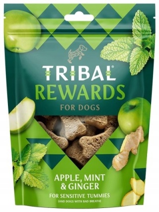 TRIBAL REWARDS ciasteczka z jabłkiem, imbirem i miętą – 125 g