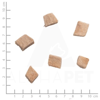 WILDES LAND – Liofilizowany filet z kaczki dla psów i kotów (26 g)