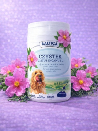 BALTICA SMAKI REGIONÓW Czystek dla psa i kota 100g