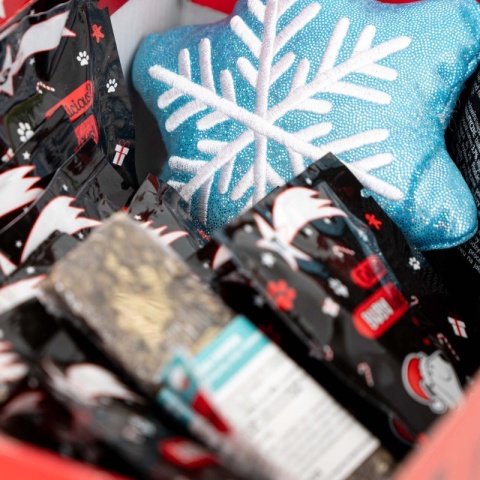 BUBAlicious More Meat PREMIUM – Kalendarz adwentowy dla psa 2024 | 22 przysmaki + gryzak + zabawka