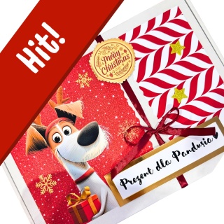 Box świąteczny dla psa premium - dziczyzna