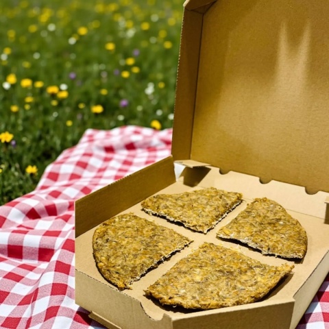 DOGY PIZZA - jeleń - gryzak dla psów