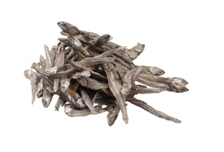 Fitmin – Suszona rybka anchois dla psa i kota 50 g