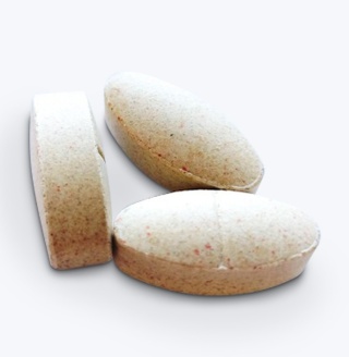 Game Dog Hair&Skin – suplement na skórę i sierść dla psa – 90 tabletek