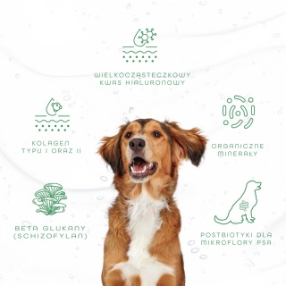 Hippovet Pharmacy GastricAid Dog 250 ml – preparat na refluks, wrzody i podrażniony żołądek u psa