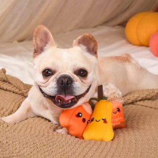 HugSmart – Autumn Tailz – Pumpkin Play – zabawka dla psa – zestaw jesieniary