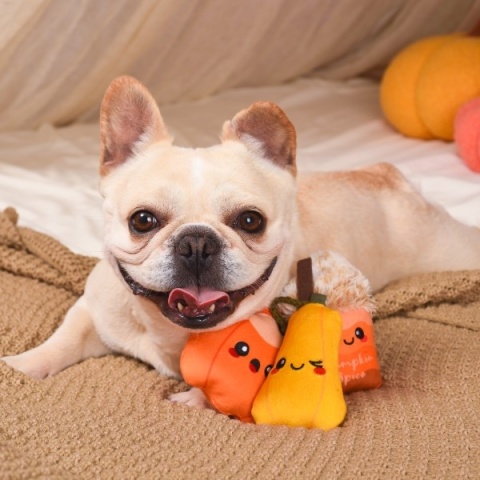 HugSmart – Autumn Tailz – Pumpkin Play – zabawka dla psa – zestaw jesieniary