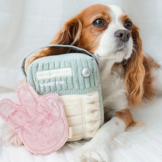 Lambwolf RADIO WOOF FM – zabawka węchowa dla psa