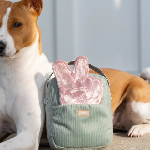 Lambwolf RADIO WOOF FM – zabawka węchowa dla psa