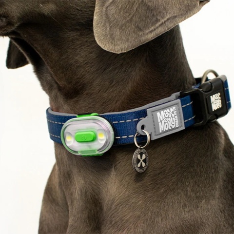 Max&Molly Matrix 2.0 Ultra LED – lampka dla psa pastelowy niebieski