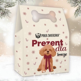Paka Zwierzaka – Box Świąteczny dla psa – limitowana edycja pełna radości i zdrowych przysmaków