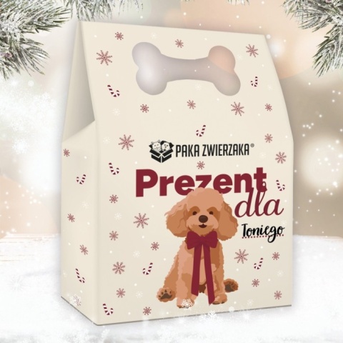 Paka Zwierzaka – Box Świąteczny dla psa – limitowana edycja pełna radości i zdrowych przysmaków