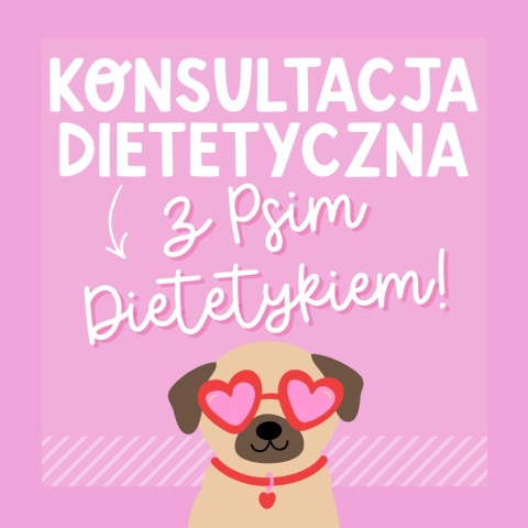 Konsultacja dietetyczna dla psa – indywidualny plan żywieniowy dopasowany do zdrowia Twojego psa