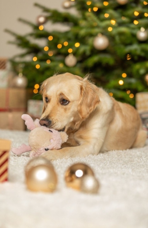 Trixie Xmas Renifer – świąteczna zabawka dla psa 18 cm