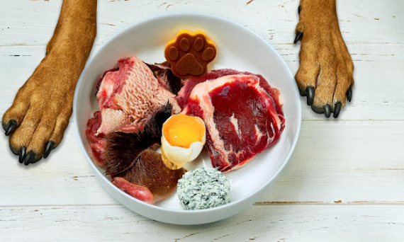 Jak zbilansować dietę BARF dla psa lub kota? Czy surowe mięso jest zdrowe?