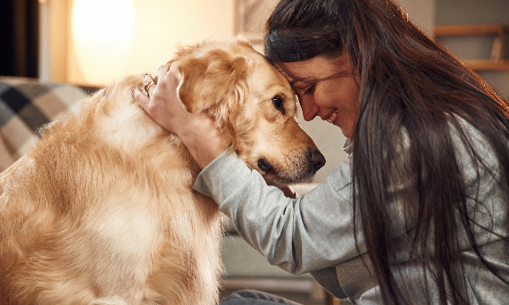 Zaufanie psa – łatwo je zdobyć, ale także stracić. Dowiedz się więcej!