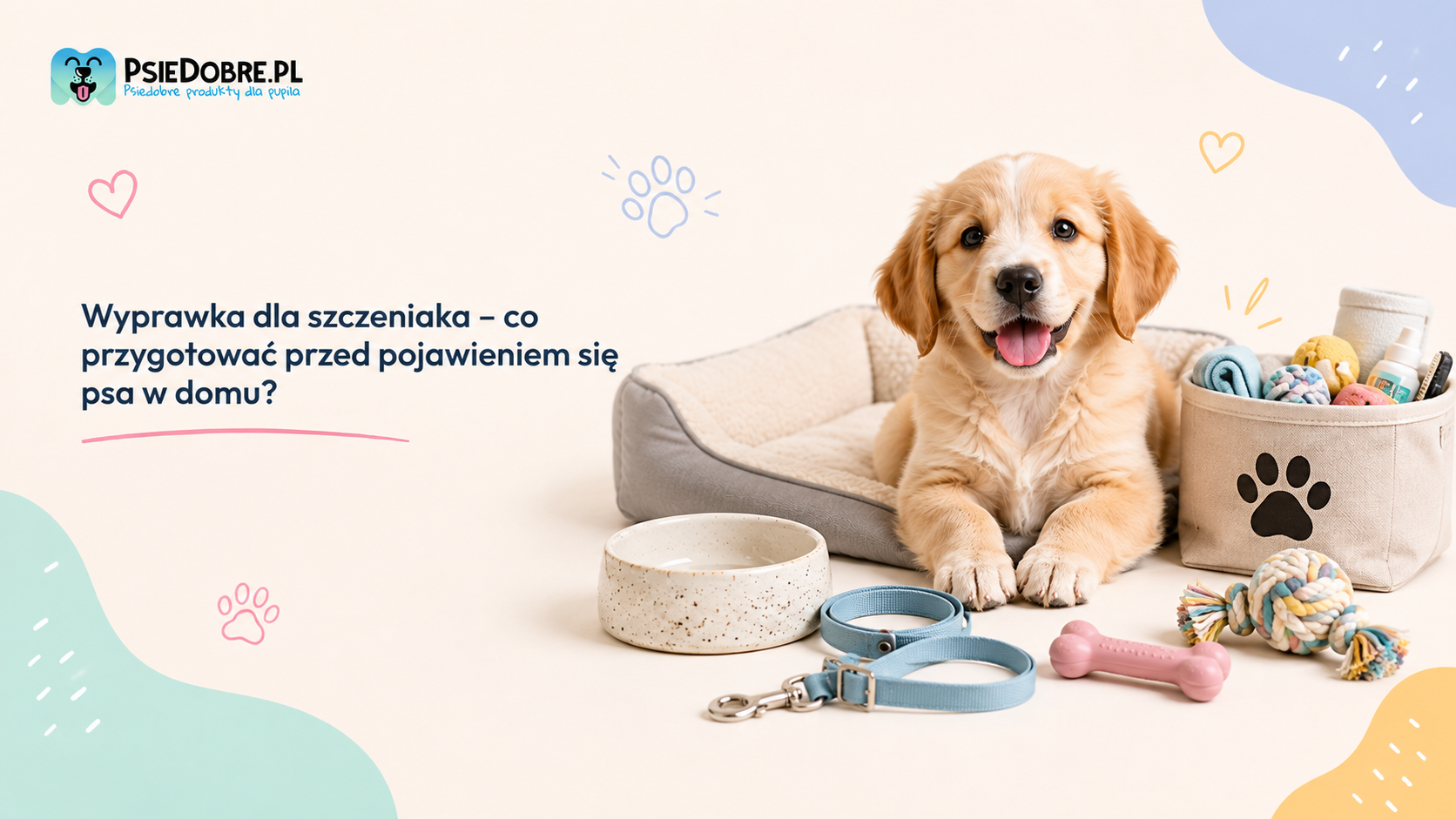 Idealna wyprawka dla szczeniaka – co warto kupić swojemu pupilowi, zanim pojawi się w domu