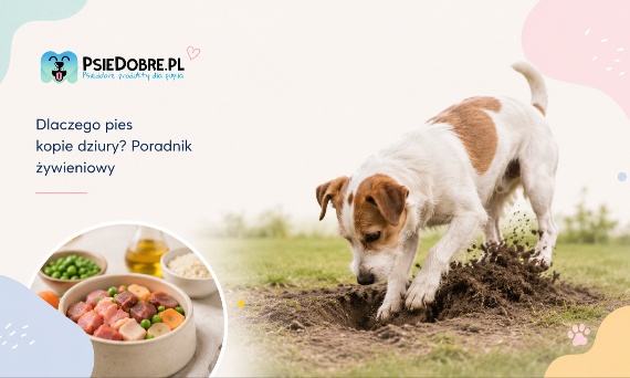 Dlaczego pies kopie dziury? Poradnik żywieniowy