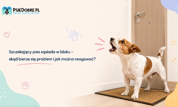Szczekający pies sąsiada w bloku – skąd bierze się problem i jak można reagować?