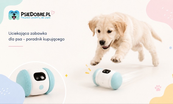 Uciekająca zabawka dla psa – poradnik kupującego