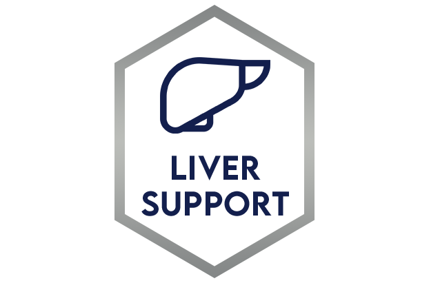 liver_support_ico.png