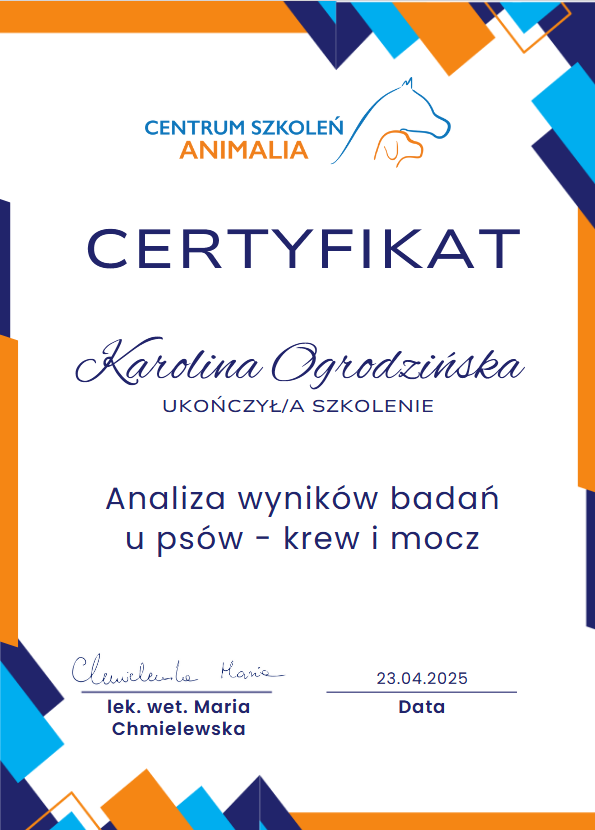 Screenshot-2025-05-10-at-17-33-35-Blue-and-Orange-Geometric-Modern-Appreciation-Certificate-pdf-Karolina-Ogrodzinska-1-pdf.png